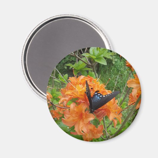 Vlinder en azalea magneet (Voorkant / Achterkant)