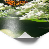 Vlinder en Bijen op Witte Gemeenschappelijke Bones Foto Afdruk (Hoek)