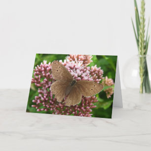 Vlinder en bloem denken aan je Wenskaart Kaart