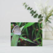 vlinder en druppel op 9 mijl briefkaart (Staand voorkant)