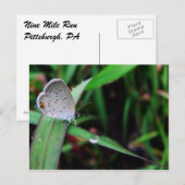 vlinder en druppel op 9 mijl briefkaart (Voorkant / Achterkant)