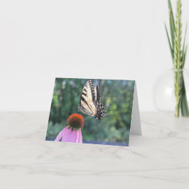 Vlinder en Echinacea - Pensando en ti Kaart