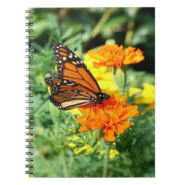 Vlinder- en goudsbloementuin notitieboek
