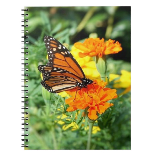 Vlinder- en goudsbloementuin notitieboek (Voorkant)