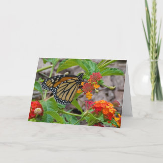 Vlinder en Lantana Kaart
