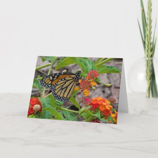 Vlinder en Lantana Kaart (Voorkant)