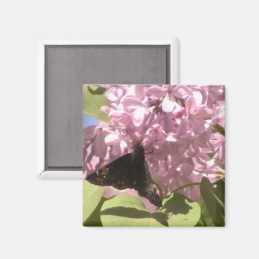 Vlinder en Lilacs Magnet (Voorkant / Achterkant)