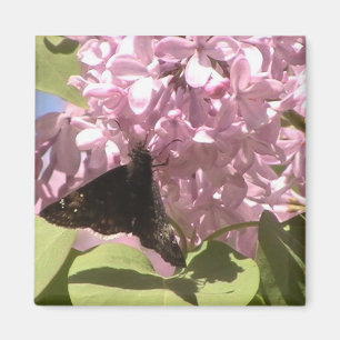 Vlinder en Lilacs Magnet
