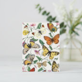 vlinder en moth briefkaart (Staand voorkant)