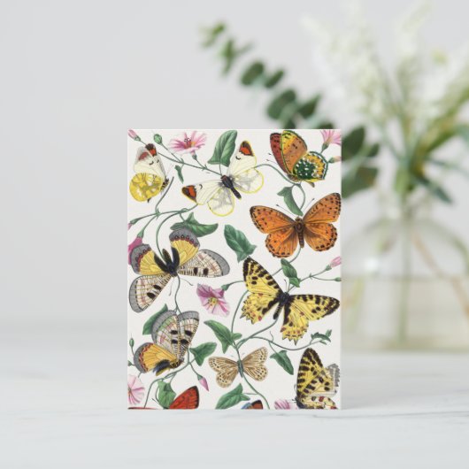 vlinder en moth briefkaart (Staand voorkant)