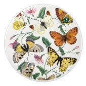  vlinder en moth keramische knop (Voorkant)