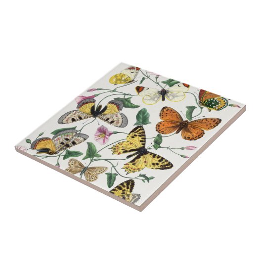  vlinder en moth tegeltje (Zijkant)