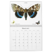 Vlinder- en motlithografieën kalender (Mar 2027)