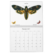 Vlinder- en motlithografieën kalender (Jan 2027)