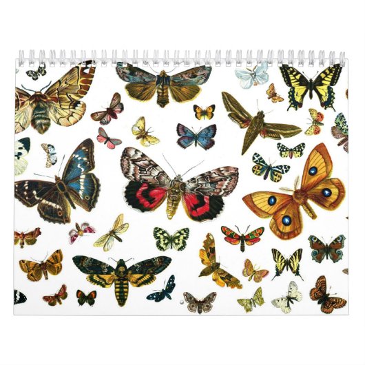 Vlinder- en motlithografieën kalender (Hoes)