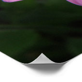 Vlinder en roze aanjager afdrukken poster (Hoek)