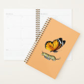 Vlinder en rups planner (Display)