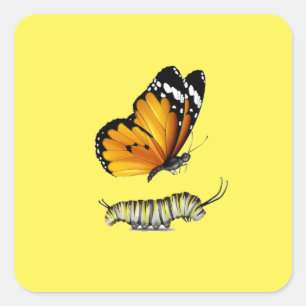Vlinder en rups vierkante sticker