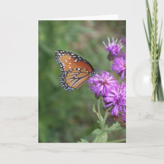 Vlinder en Wenskaart Wildflower Kaart (Voorkant)