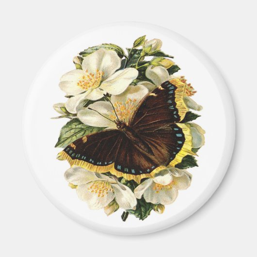 VLINDER EN WITTE BLOEMEN MAGNEET (Voorkant)