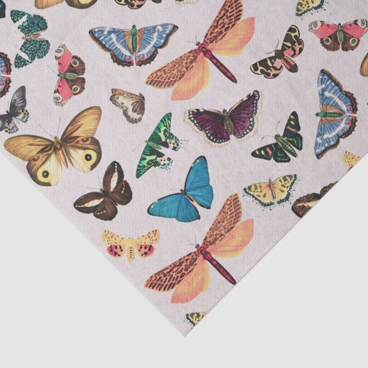vlinder esthetisch tissuepapier (Detail)