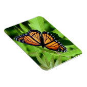 Vlinder flexibele magneet (Rechterzijde)