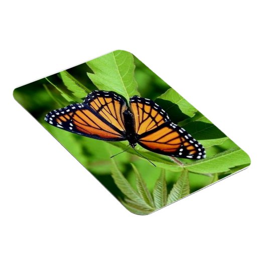 Vlinder flexibele magneet (Rechterzijde)