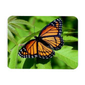 Vlinder flexibele magneet (Horizontaal)