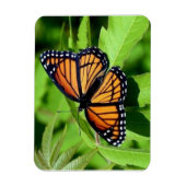 Vlinder flexibele magneet (Verticaal)