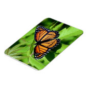 Vlinder flexibele magneet (Linkerzijde)