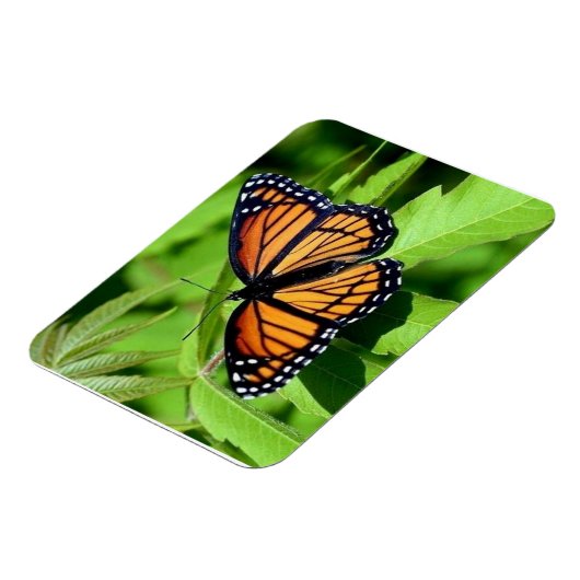 Vlinder flexibele magneet (Linkerzijde)