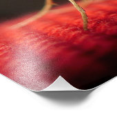 vlinder foto afdruk (Hoek)