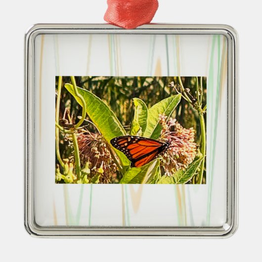 Vlinder Foto Ornament (Voorkant)