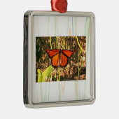 Vlinder Foto Ornament (Rechts)