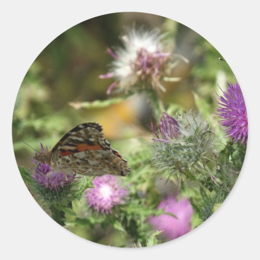 Vlinder foto ronde Sticker, glanzend Sticker (Voorkant)
