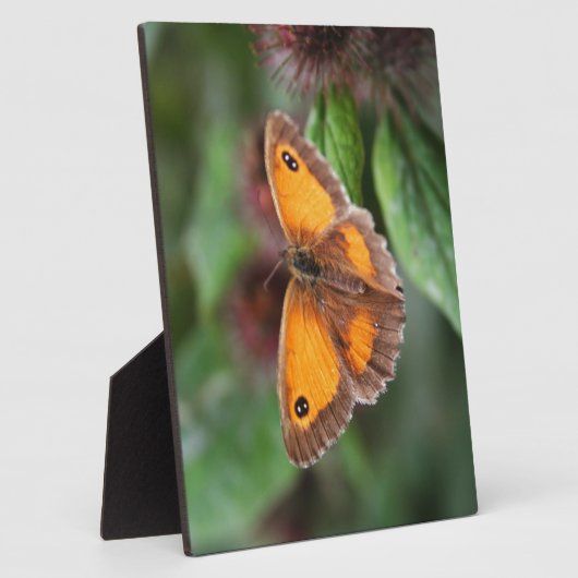 Vlinder Fotoplaat (Zijkant)