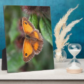 Vlinder Fotoplaat (Zijkant)