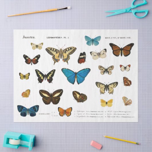 vlinder  frans decoupage fussy cut tissuepapier (Craft)