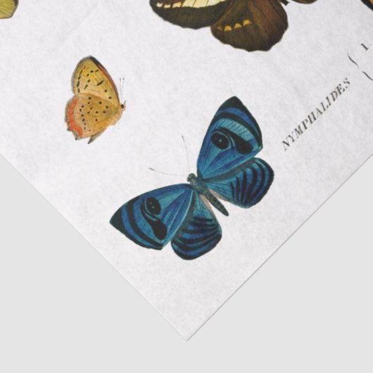 vlinder  frans decoupage fussy cut tissuepapier (Detail)