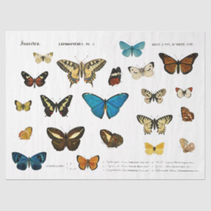 vlinder  frans decoupage fussy cut tissuepapier