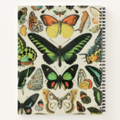 vlinder gepersonaliseerd notitieboek (Achterkant)