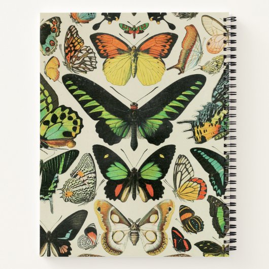  vlinder gepersonaliseerd notitieboek (Achterkant)