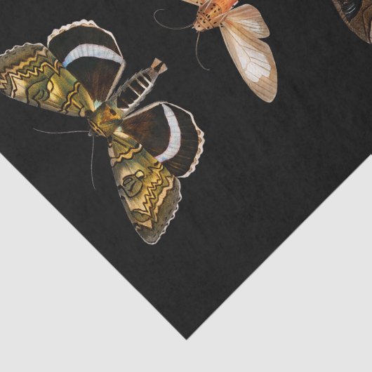 vlinder gepersonaliseerd tissuepapier (Detail)