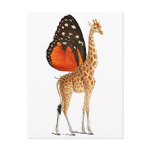 Vlinder gevleugelde giraffe