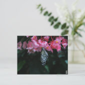 Vlinder hangend aan bloemen briefkaart (Staand voorkant)