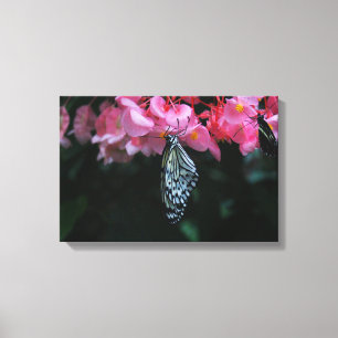 Vlinder hangend aan bloemen canvas afdruk