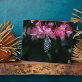 Vlinder hangend aan bloemen fotoplaat (Zijkant)