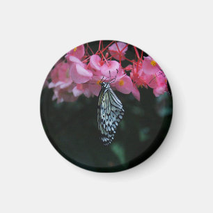 Vlinder hangend aan bloemen magneet