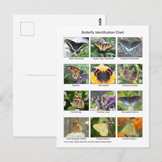 Vlinder identificatie  briefkaart (Voorkant / Achterkant)