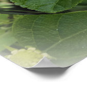 vlinder in cirkel poster (Hoek)